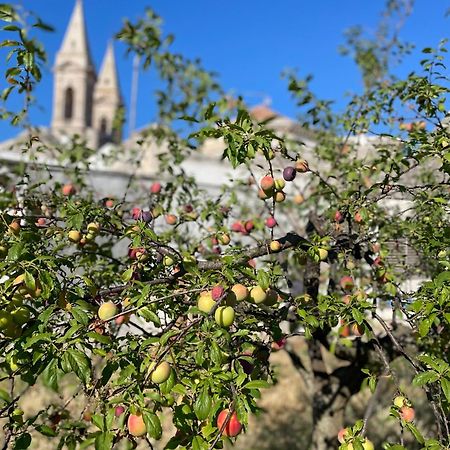 Borganthia - Il Chiostro Dei Medici Hotel Alberobello Buitenkant foto