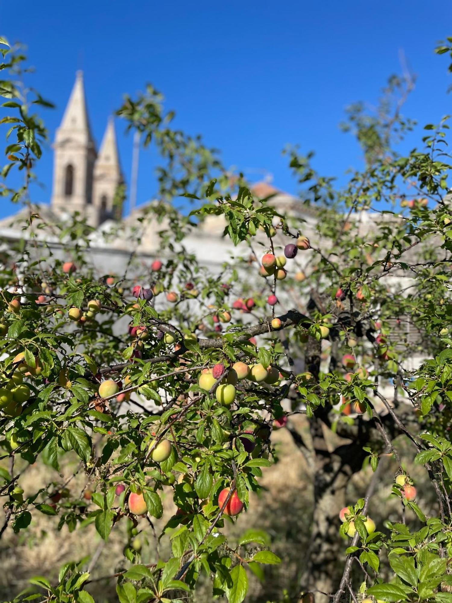 Borganthia - Il Chiostro Dei Medici Hotel Alberobello Buitenkant foto